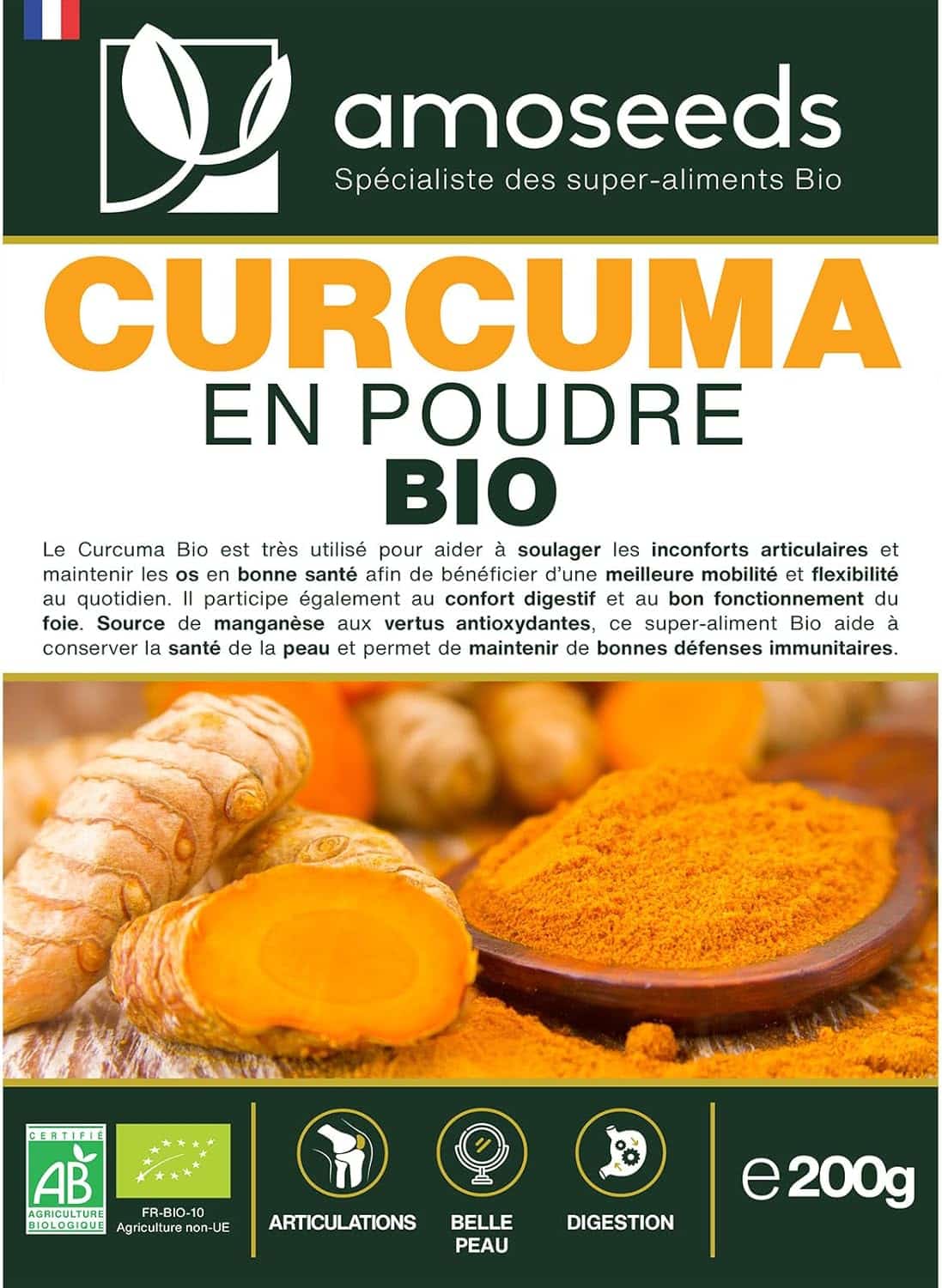 curcuma en poudre